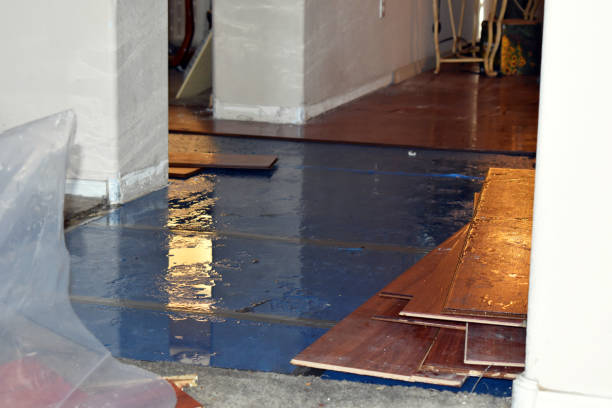 Professional Flood Cleanup technician working in Edinburg, PA